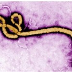 エボラ出血熱感染予防マニュアル